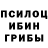 Псилоцибиновые грибы Magic Shrooms sueta 1511