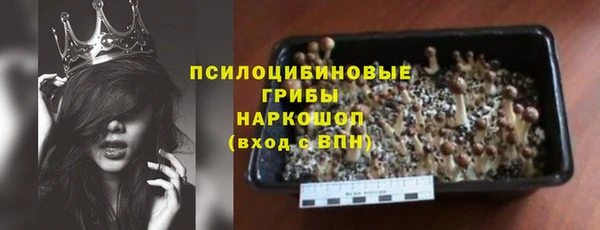 стаф Зеленокумск