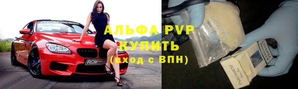 стаф Зеленокумск