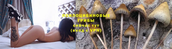 дмт Зерноград