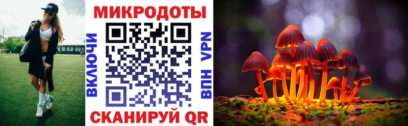 купить  сайты  ссылка на мегу ONION  Псилоцибиновые грибы Psilocybe  Среднеуральск 